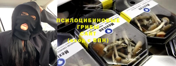 мдпв Кукмор