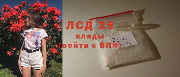 спиды Лагань