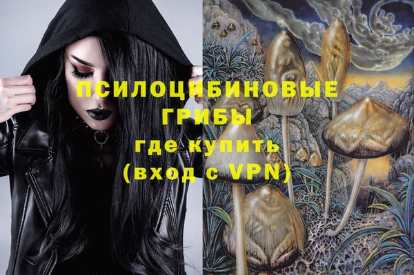 спиды Лагань