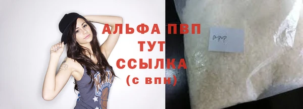 стафф Куйбышев