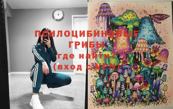 мдпв Кукмор