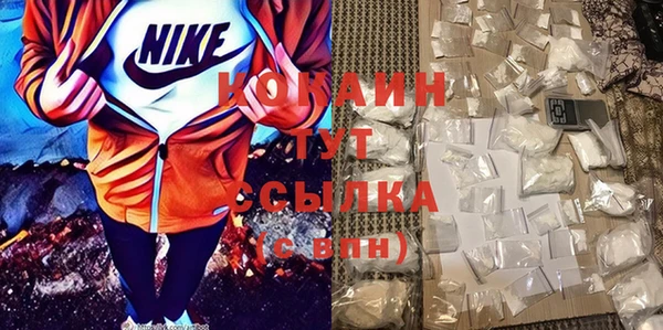 молекула духа Ахтубинск
