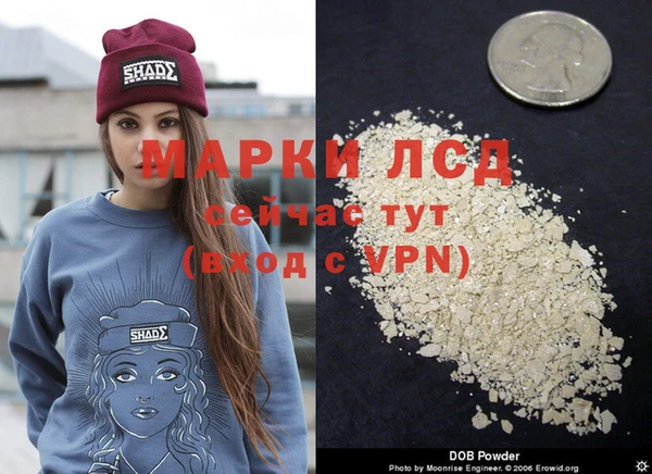 стафф Куйбышев